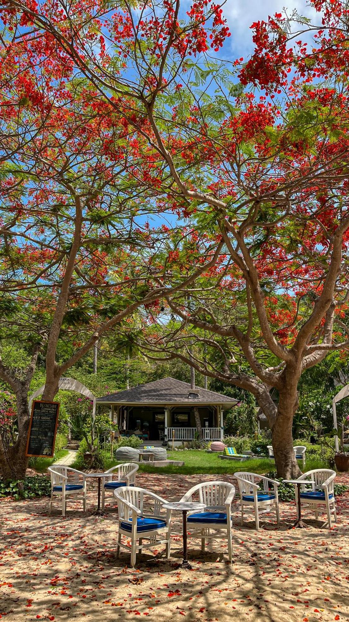 Vayam Boutique Resort جيلى اساهان المظهر الخارجي الصورة